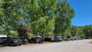 RV parking spots with rvs and trucks lined up under trees at Dolores River RV Resort