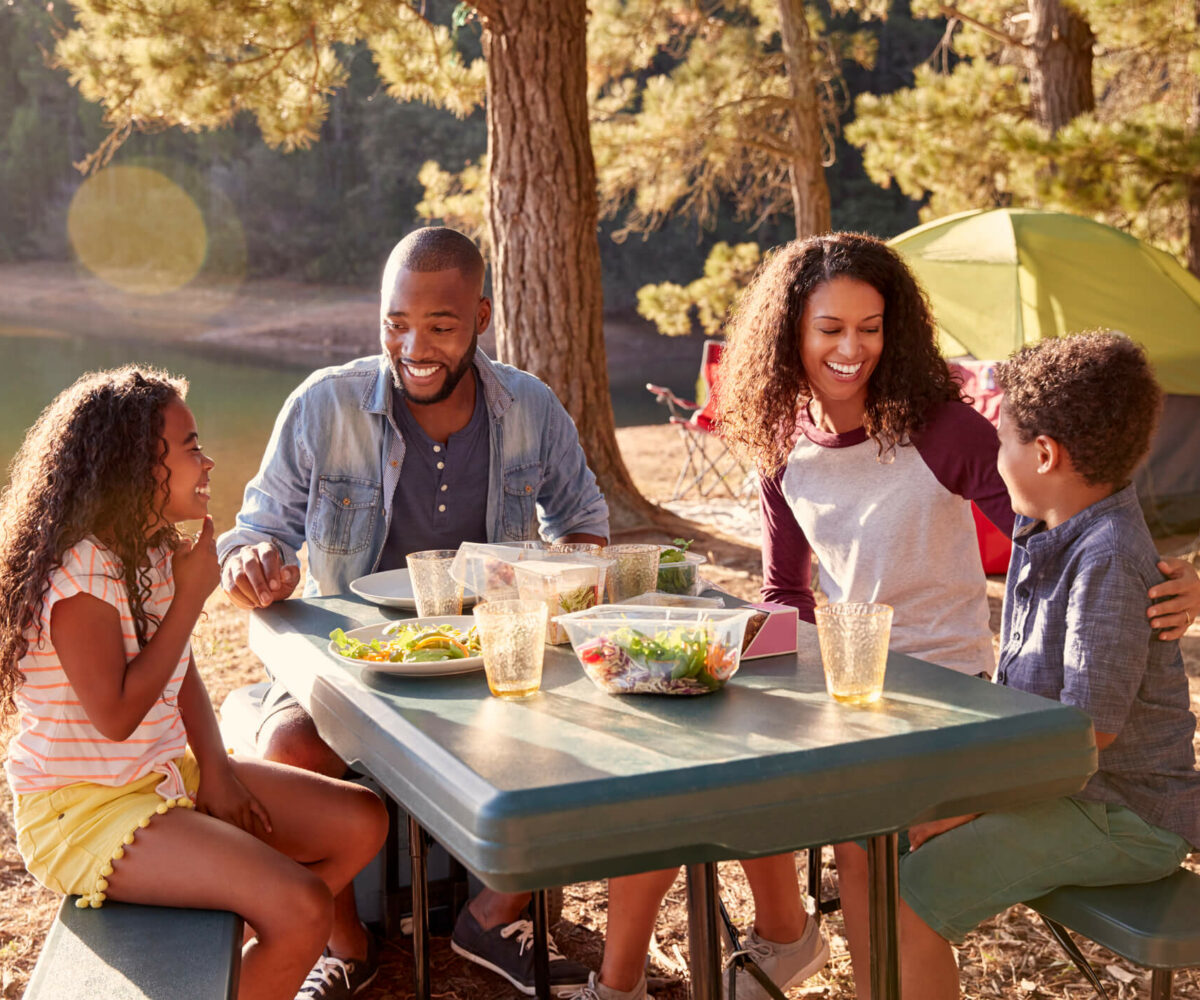 Family having a picnic