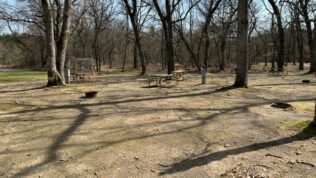picnic tables in a grove of trees at Pearl Lake RV Campground