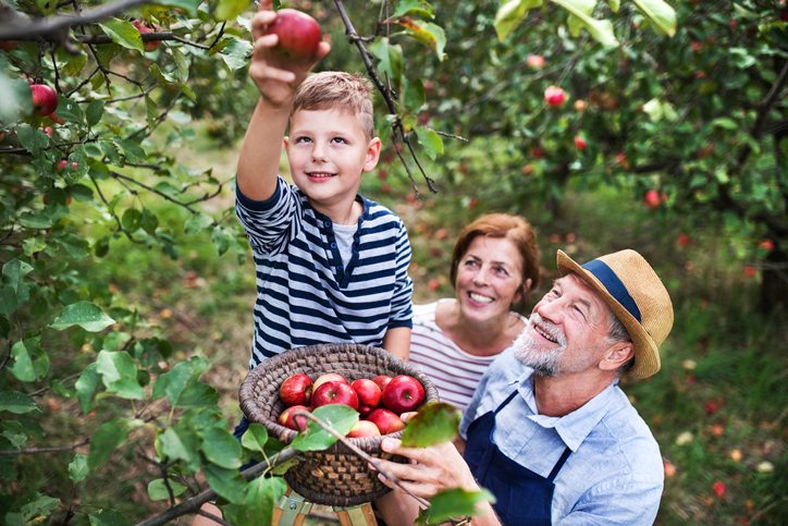 Family of three goes apple-picking