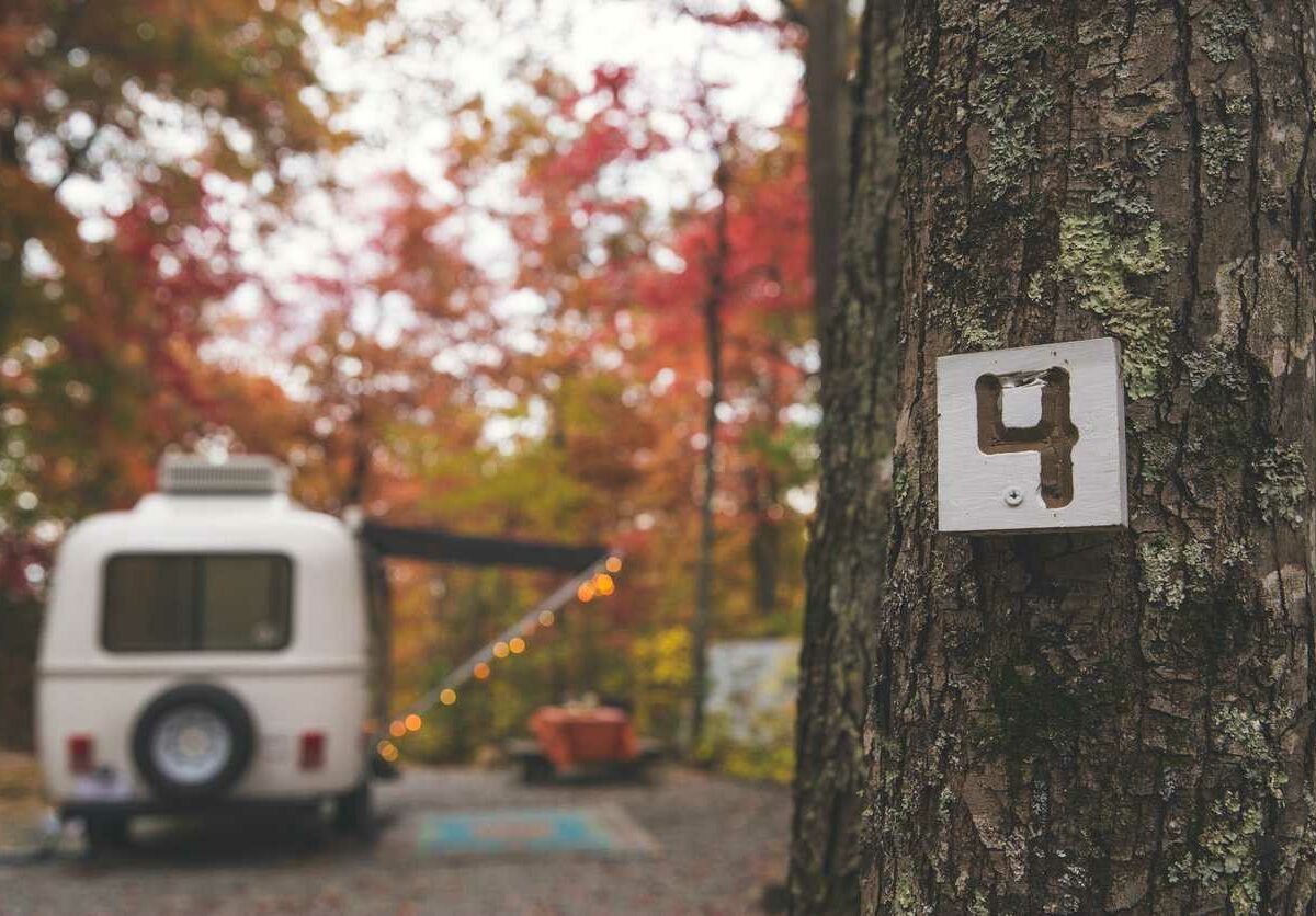 A view of a tree shows a campsite number with an RV in the background