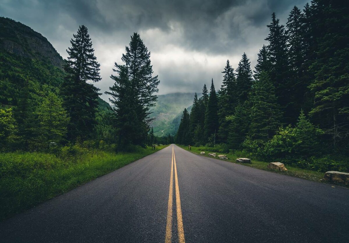 The winding black road of the Utah State Route 12 Scenic Byway.