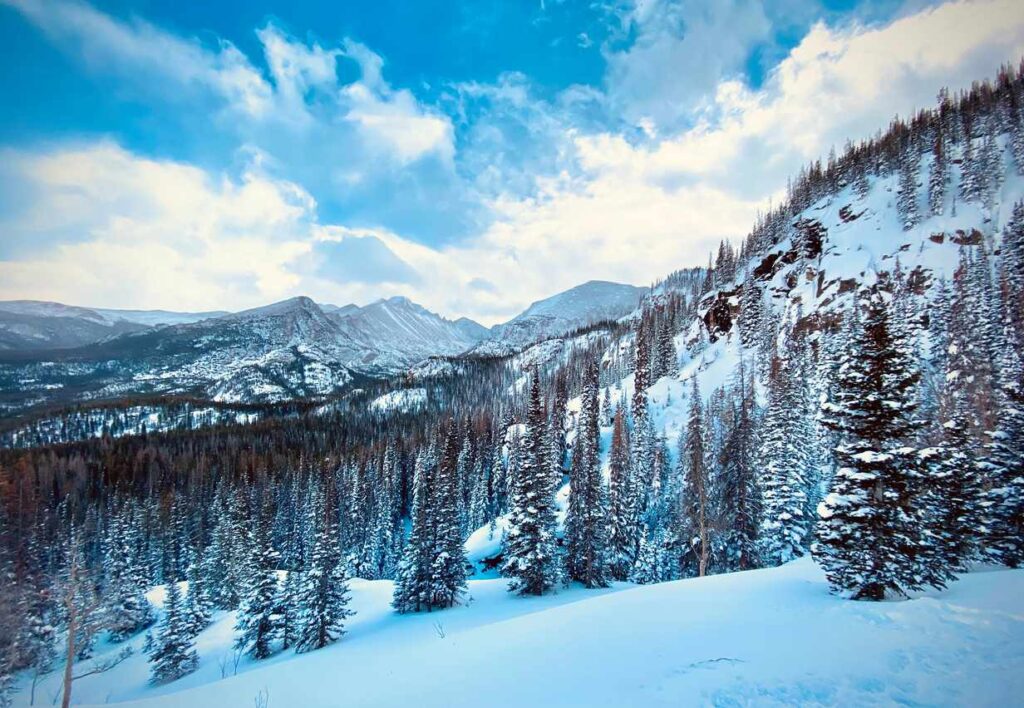 Snowy mountains and trees in the Rocky Mountain range in Colorado.