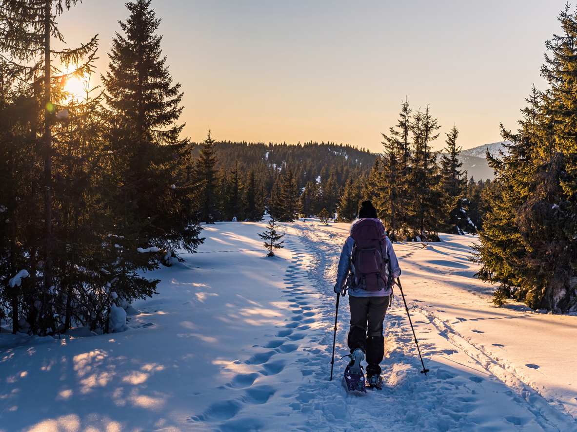 Young woman snowshoeing through a snowy forest during the sunset.