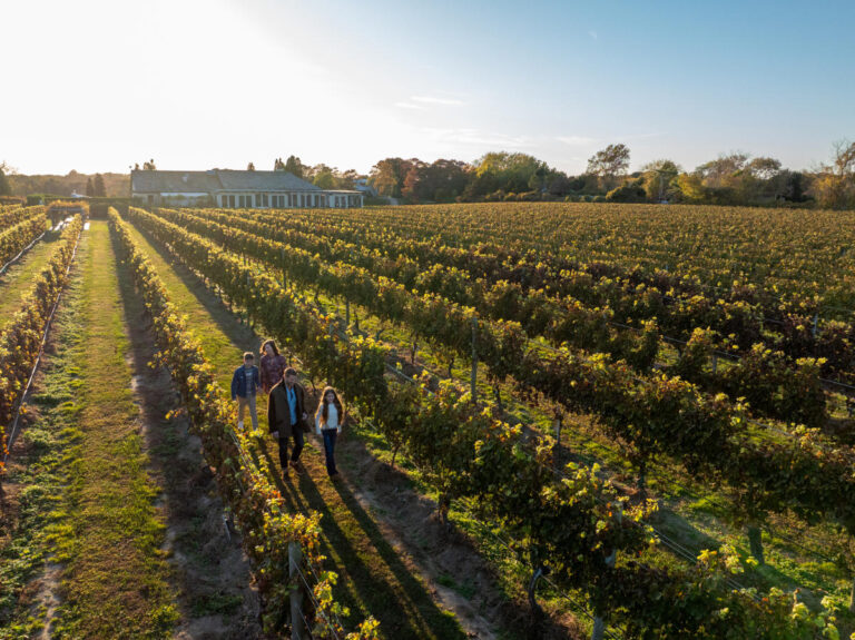 Grand Island Vineyards