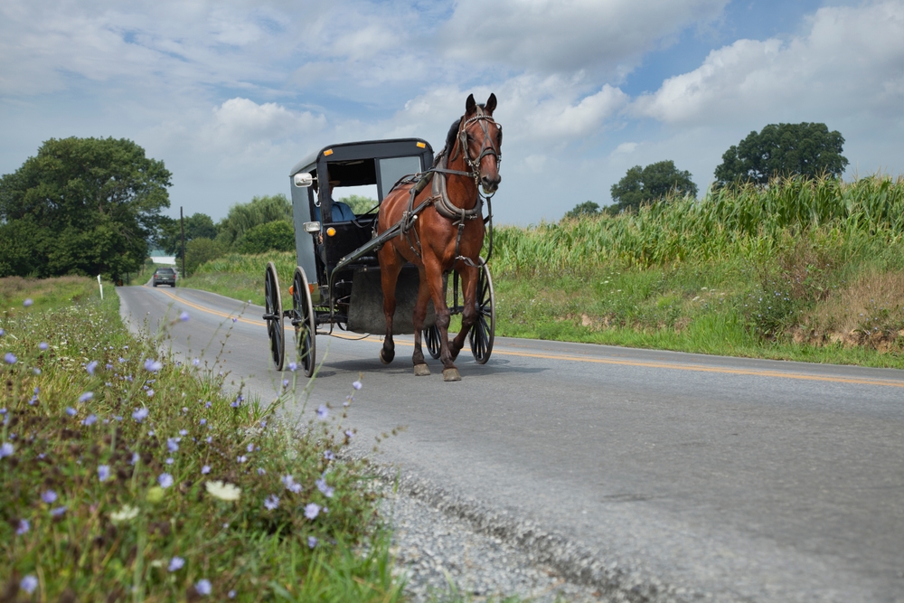 Horse-drawn buggy in Amish Country near Granger Indiana