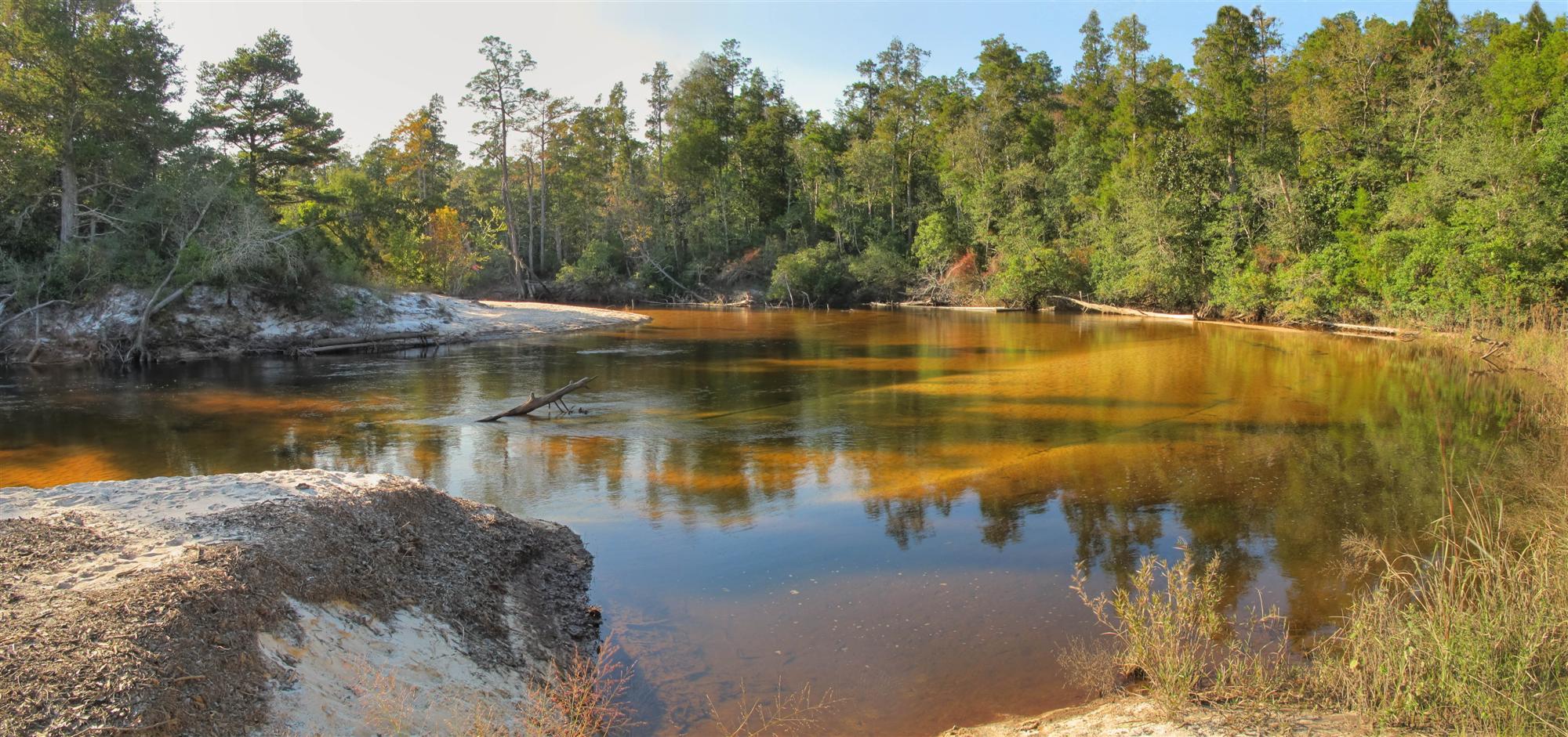 A view of the Blackwater River near Milton FL.
