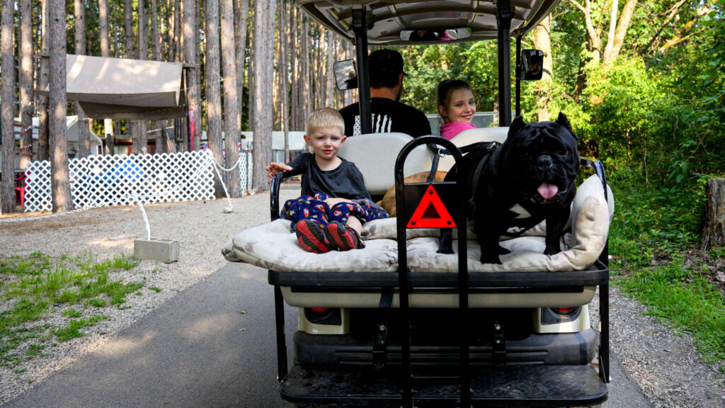 A toddler and his dog ride safely in the back of a golf cart at a RJourney RV Resort