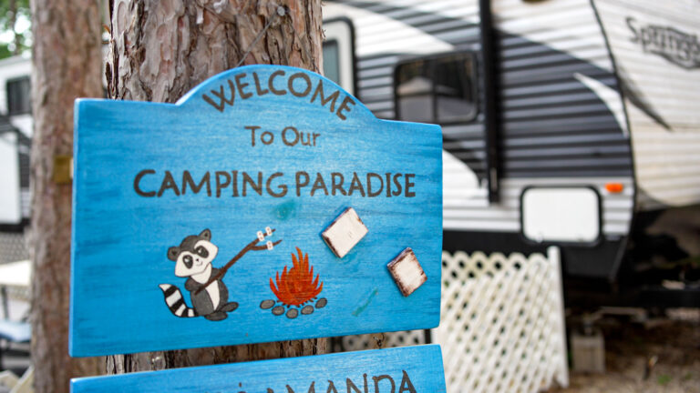 Best Times to Go Camping: A Month-by-Month Guide by Region