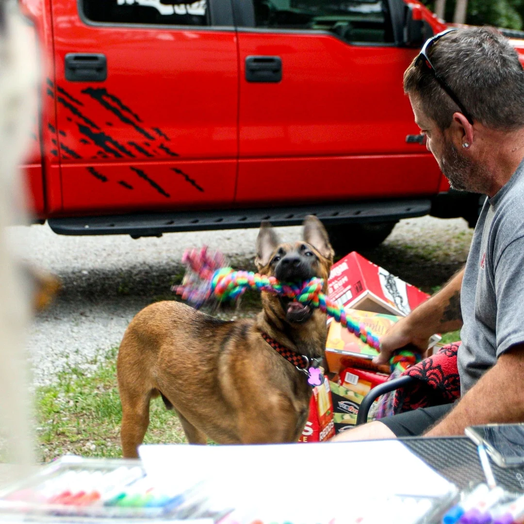 A german shephard pulls on his rope toy with his owner.