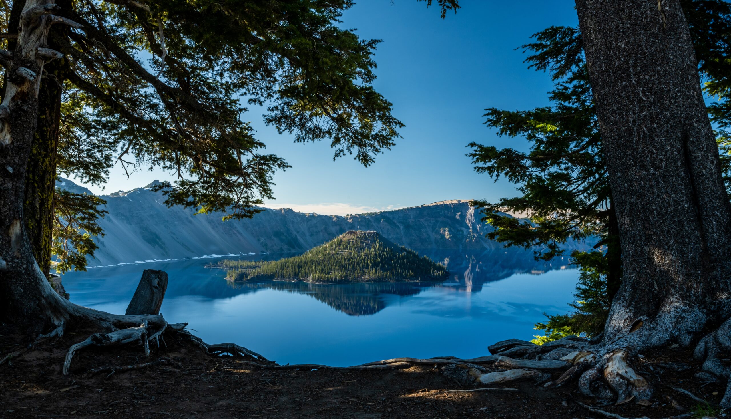 Reflective Blue Waters of Crater Lake between pine trees in summer