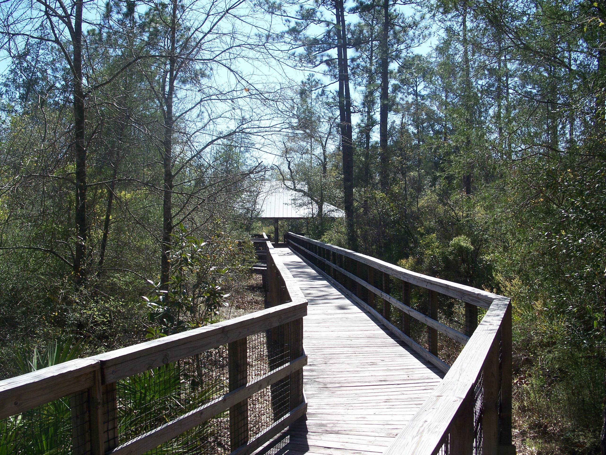 A walking bridge at the Blackwater River State Park