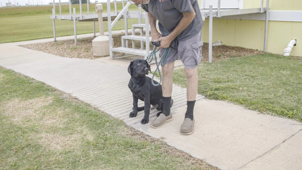 A man tells his puppy to "sit" at Lake Charles RV Resort.