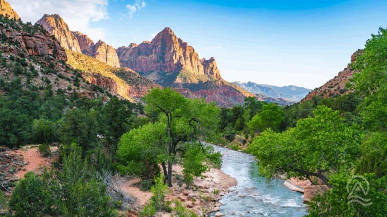 Best National Parks for Families: 5 RV Trips Your Kids Will Actually Remember