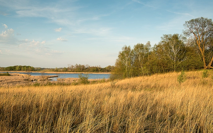 Lake Carlos State Park