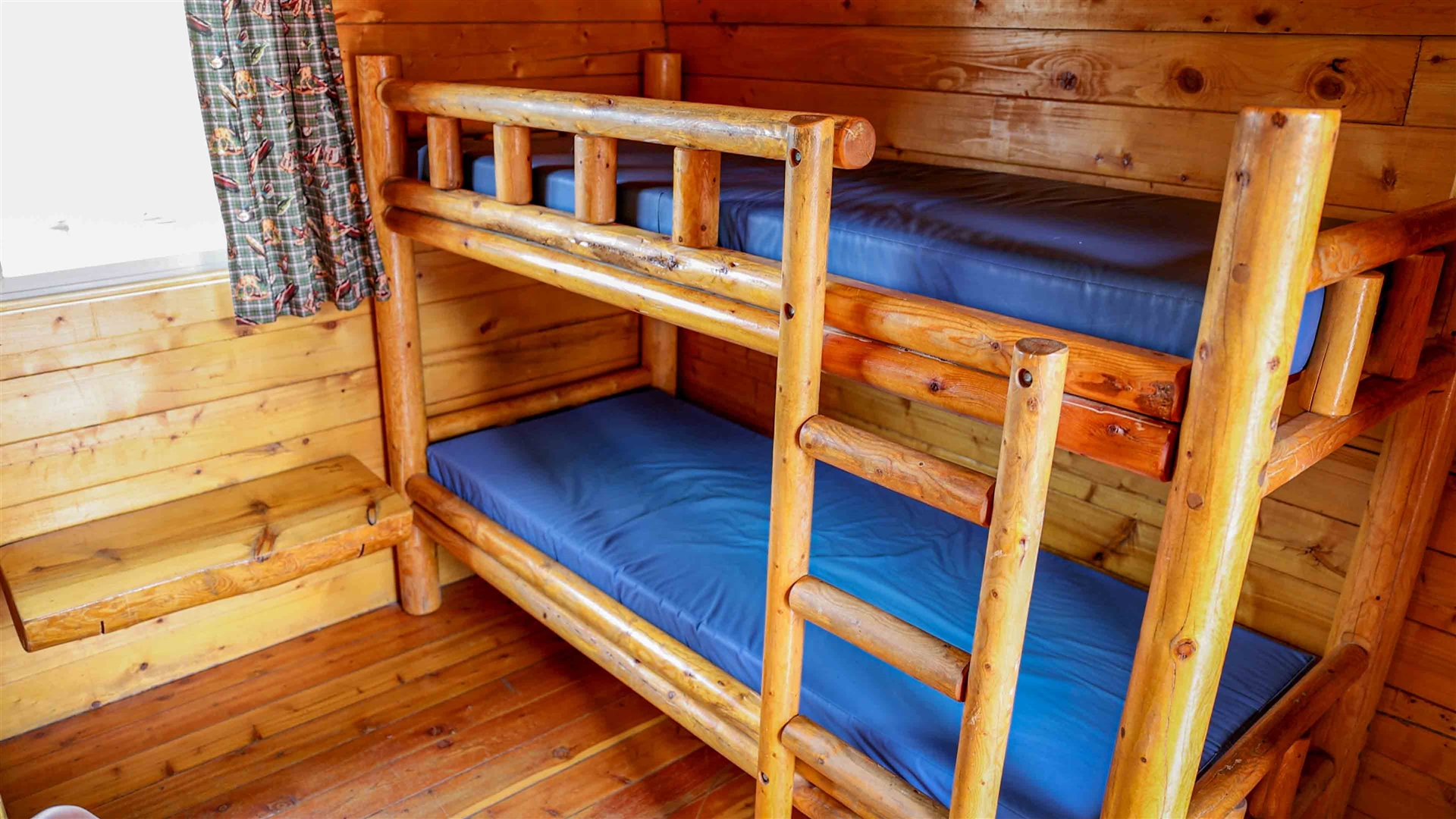 Best Campgrounds Near Cannonville, UT