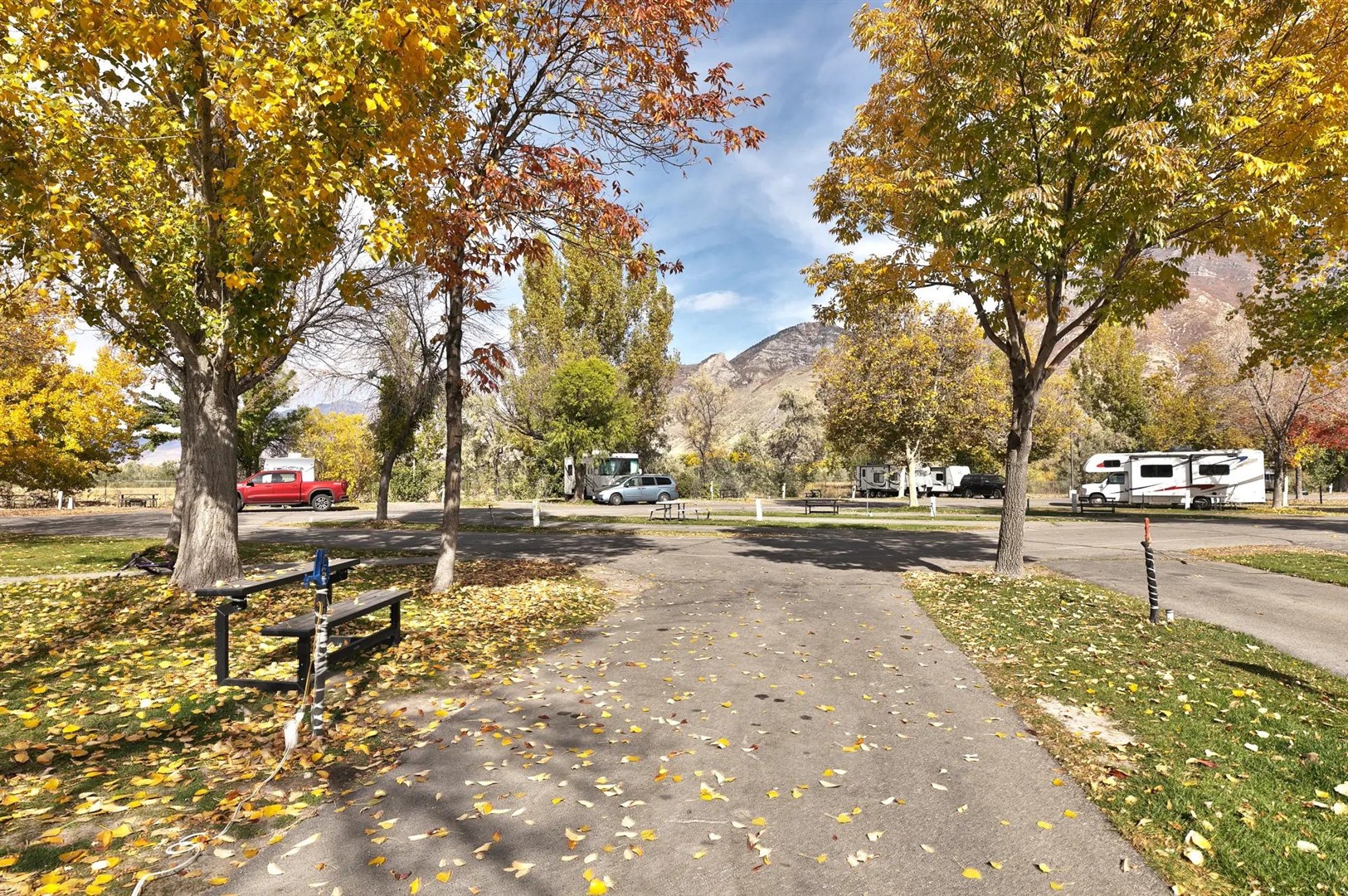 Tree-lined paved road through Roam Springville RV Resort in Springville, Utah
