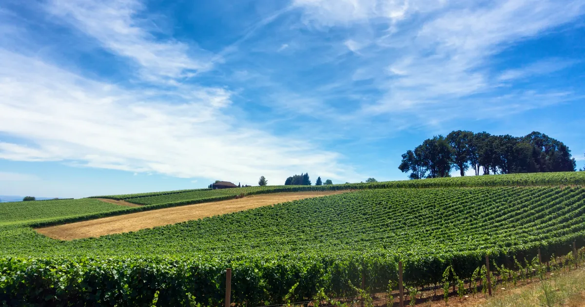 Rogue Valley Wine Country From Klamath Falls: A Harvest-Season Guide