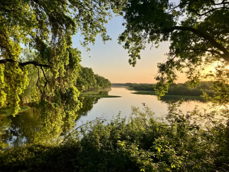 Delta Meadows State Park
